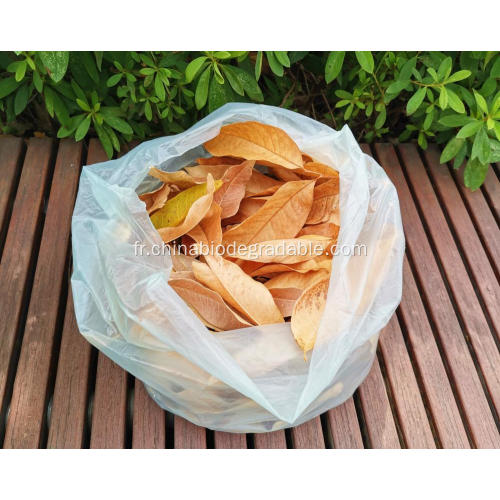 Sacs de collection de feuilles de jardin compostables pour bac vert